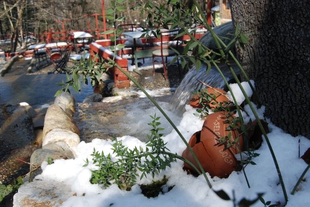 Şelale Doğa Restaurant