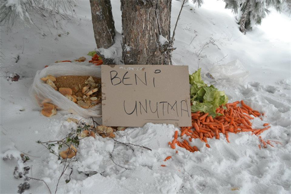 HAS ADAMLAR, Aç Hayvanlara Yiyecek Bıraktılar!...