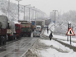 Araçların arasında kalarak can verdi!