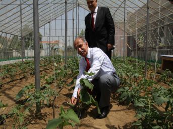 Otistik çocuklar okulunun bahçesi seraya çevrildi