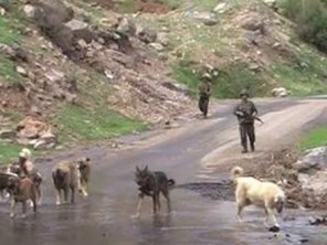 Beytüşşebap'taki Şehitlerin Kimlikleri Belirlendi